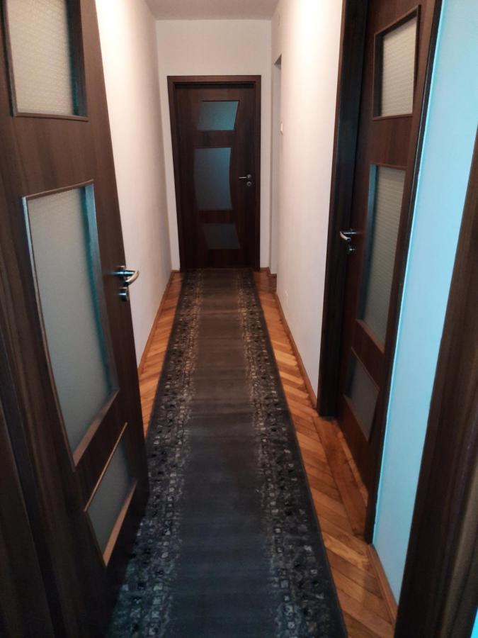 Cozy Three Rooms Apartment Kolozsvár Kültér fotó